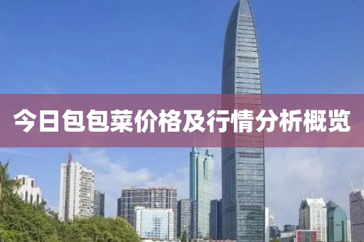 今日包包菜价格及行情分析概览