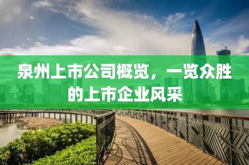 泉州上市公司概览，一览众胜的上市企业风采