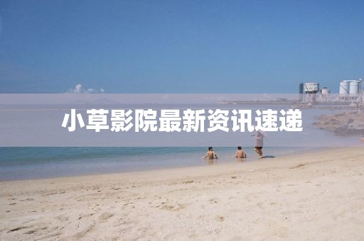 小草影院最新资讯速递