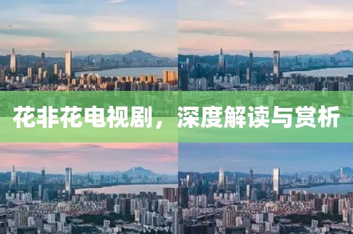 花非花电视剧，深度解读与赏析