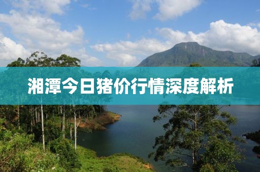 湘潭今日猪价行情深度解析