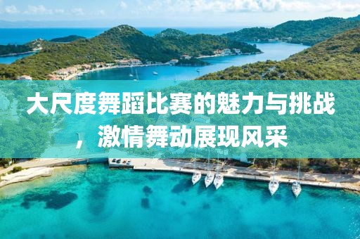 大尺度舞蹈比赛的魅力与挑战，激情舞动展现风采