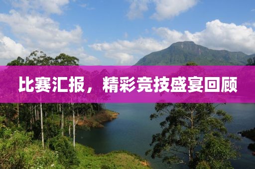 忆君言 第17页
