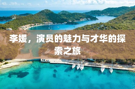 李媛，演员的魅力与才华的探索之旅