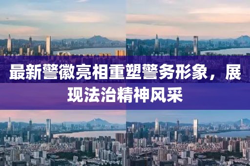 最新警徽亮相重塑警务形象，展现法治精神风采