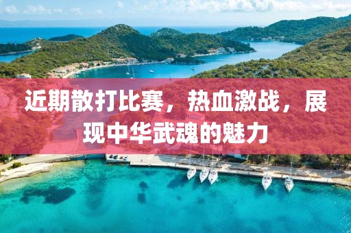 近期散打比赛，热血激战，展现中华武魂的魅力