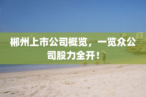 郴州上市公司概览，一览众公司股力全开！