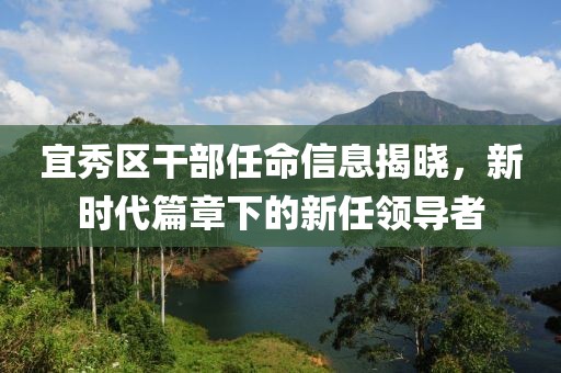 宜秀区干部任命信息揭晓，新时代篇章下的新任领导者