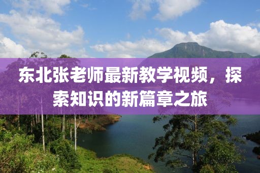 东北张老师最新教学视频，探索知识的新篇章之旅