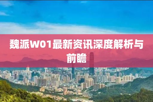 魏派W01最新资讯深度解析与前瞻