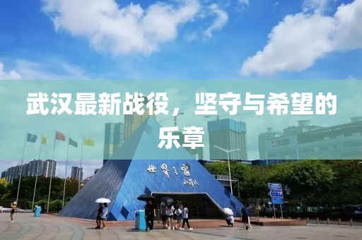武汉最新战役，坚守与希望的乐章