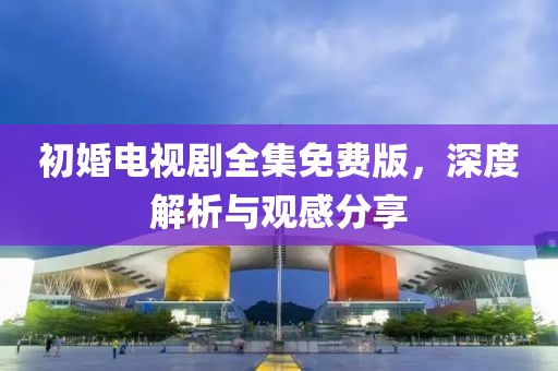 初婚电视剧全集免费版，深度解析与观感分享
