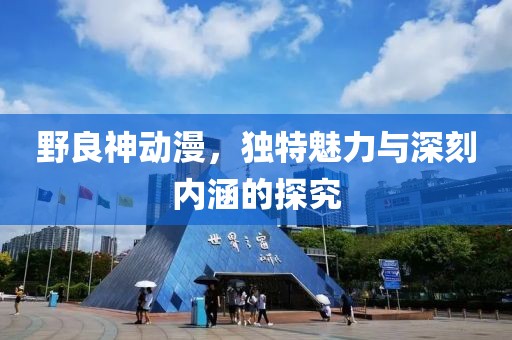 野良神动漫，独特魅力与深刻内涵的探究