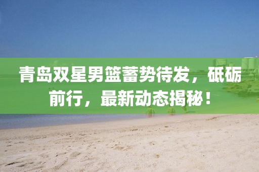 青岛双星男篮蓄势待发，砥砺前行，最新动态揭秘！