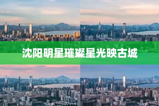 沈阳明星璀璨星光映古城