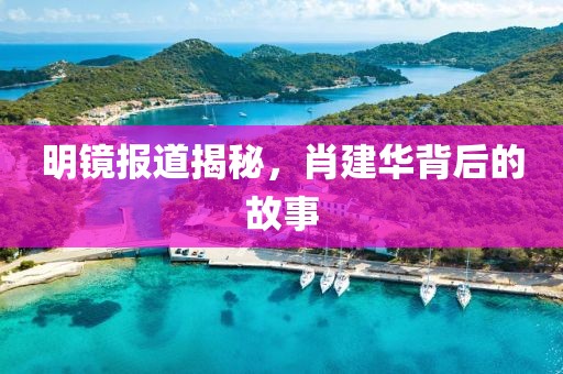 明镜报道揭秘，肖建华背后的故事