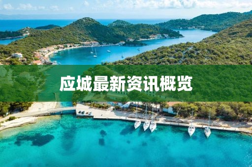 应城最新资讯概览