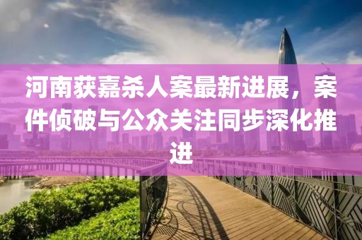 河南获嘉杀人案最新进展，案件侦破与公众关注同步深化推进