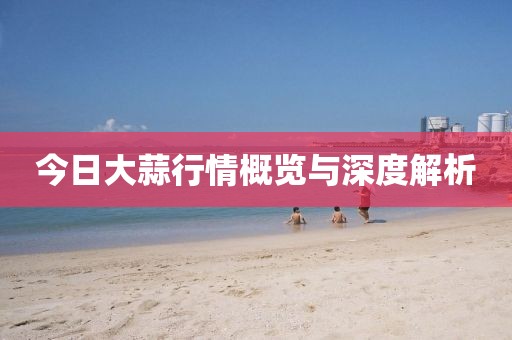 今日大蒜行情概览与深度解析
