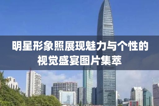 明星形象照展现魅力与个性的视觉盛宴图片集萃