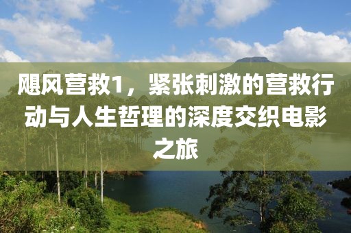 飓风营救1，紧张刺激的营救行动与人生哲理的深度交织电影之旅