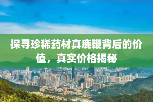 探寻珍稀药材真鹿鞭背后的价值，真实价格揭秘