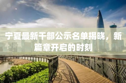 宁夏最新干部公示名单揭晓，新篇章开启的时刻