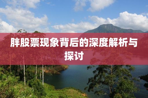 胖股票现象背后的深度解析与探讨
