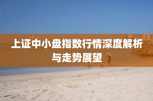 上证中小盘指数行情深度解析与走势展望