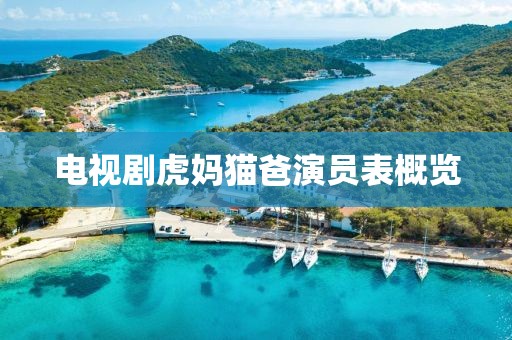 电视剧虎妈猫爸演员表概览