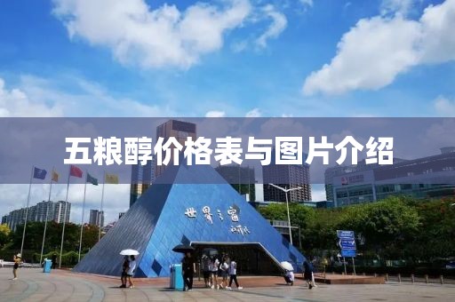 五粮醇价格表与图片介绍