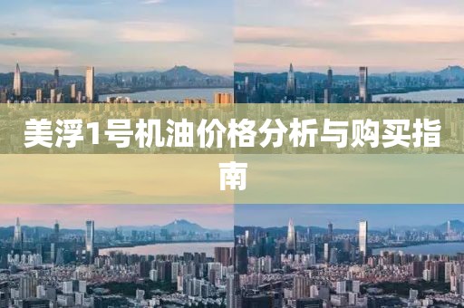 美浮1号机油价格分析与购买指南