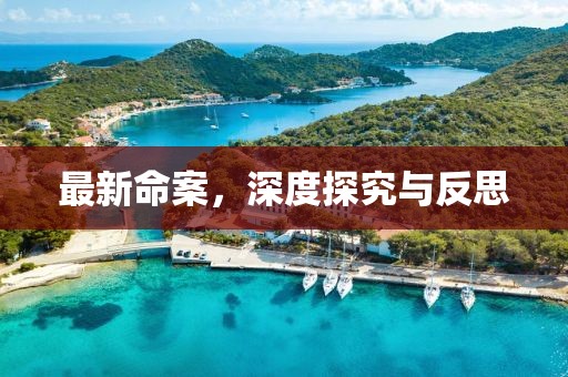 最新命案，深度探究与反思