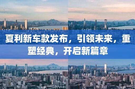 装腔作势去爱 第14页