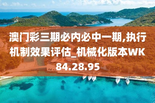 澳门彩三期必内必中一期,执行机制效果评估_机械化版本WK84.28.95