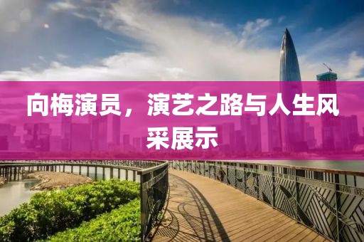 向梅演员，演艺之路与人生风采展示