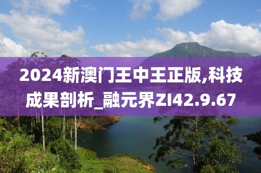 2024新澳门王中王正版,科技成果剖析_融元界ZI42.9.67