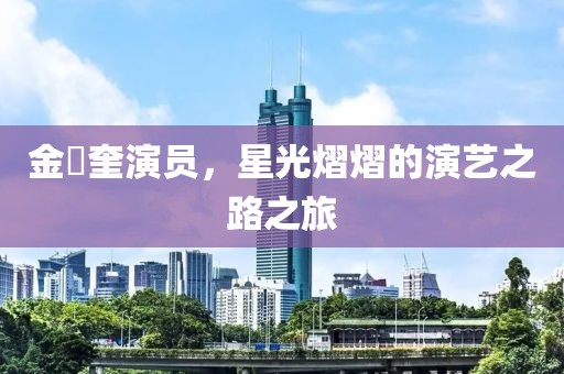 金旻奎演员，星光熠熠的演艺之路之旅