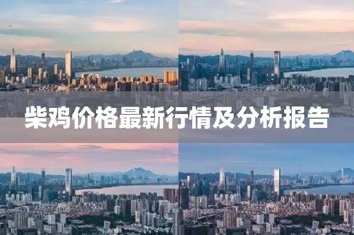 柴鸡价格最新行情及分析报告