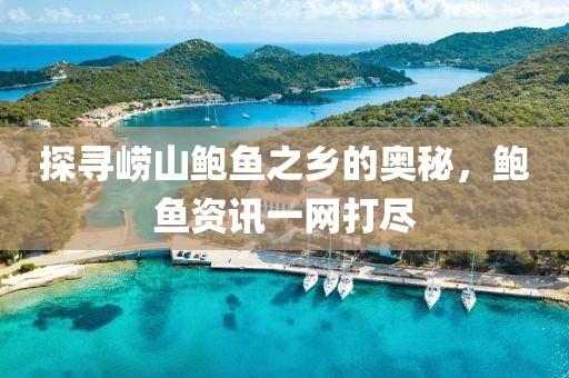 探寻崂山鲍鱼之乡的奥秘，鲍鱼资讯一网打尽
