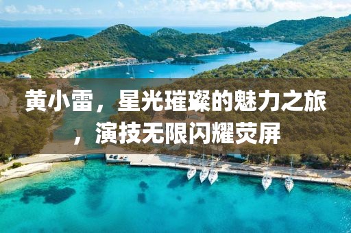 黄小雷，星光璀璨的魅力之旅，演技无限闪耀荧屏