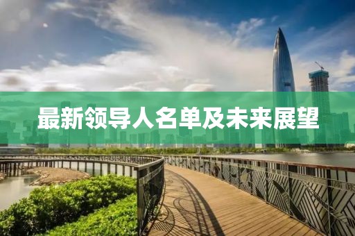 最新领导人名单及未来展望
