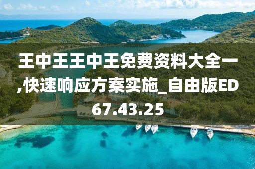王中王王中王免费资料大全一,快速响应方案实施_自由版ED67.43.25