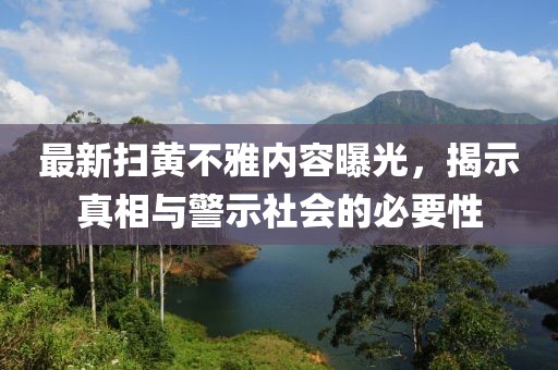 最新扫黄不雅内容曝光，揭示真相与警示社会的必要性