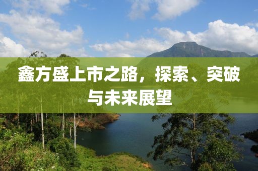 鑫方盛上市之路，探索、突破与未来展望