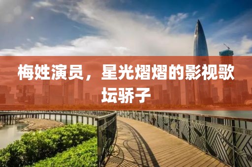 梅姓演员，星光熠熠的影视歌坛骄子