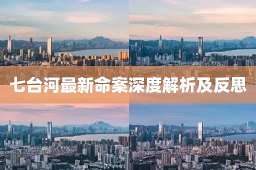 七台河最新命案深度解析及反思