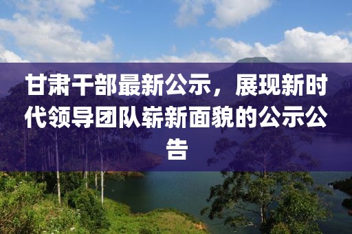 无感归宿 第13页