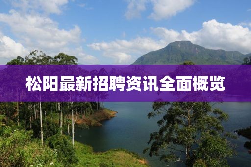 松阳最新招聘资讯全面概览