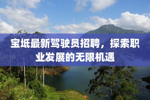 宝坻最新驾驶员招聘，探索职业发展的无限机遇